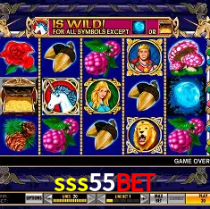 sss55bet Rio de Janeiro - Bonus Terms